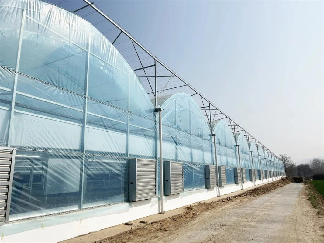 1multi span greenhouse