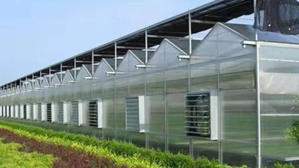 3polycarbonate greenhouse