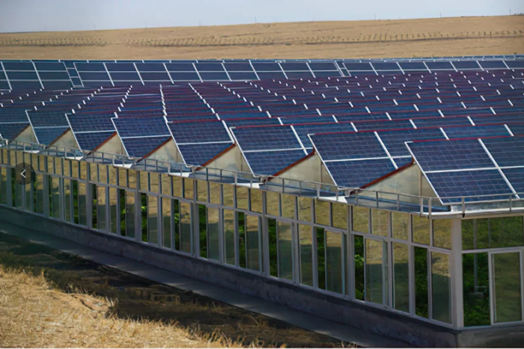4photovoltaic greenhouse