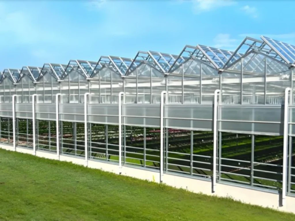 6venlo greenhouses