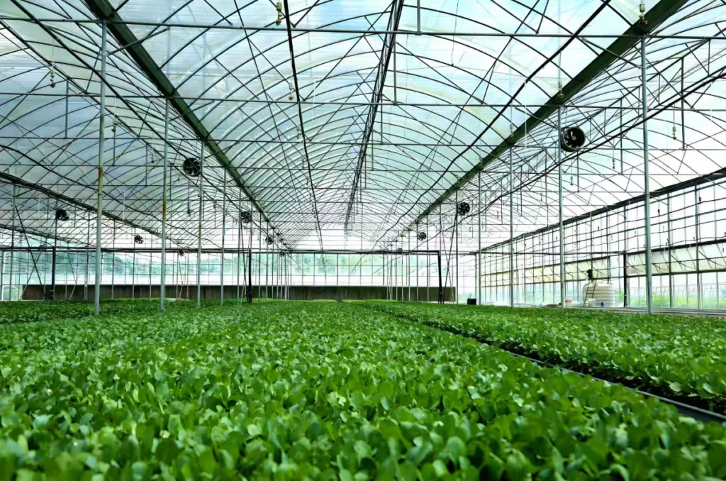 gothic greenhouse hover resized