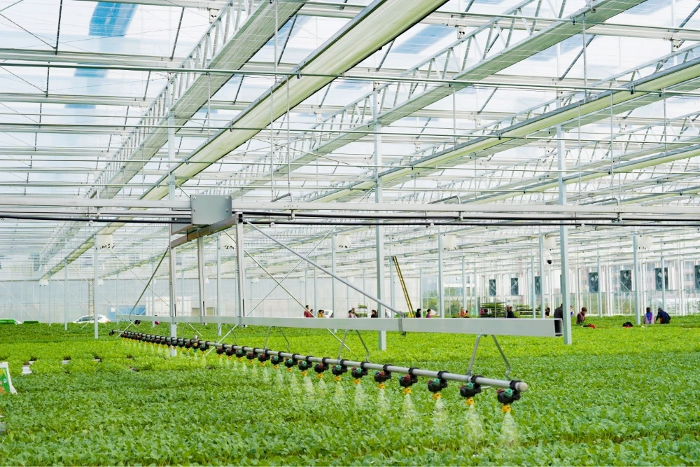 irrigation & fertigation resized