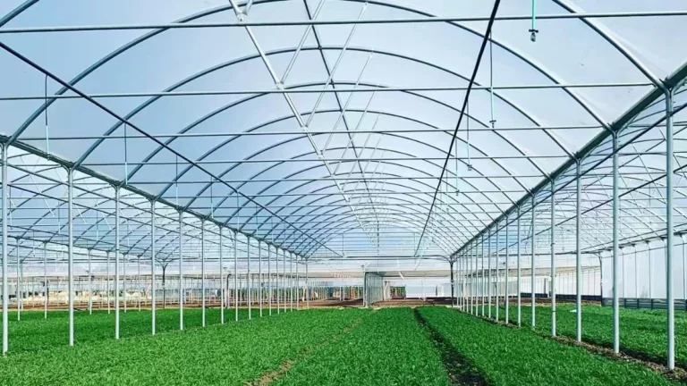 multi span greenhouse hover (2) resized