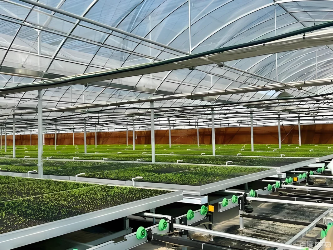 rolling benchs resized