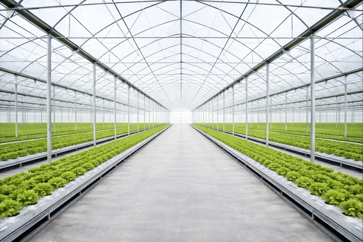 Interior of a multi-span film greenhouse showing key structural components