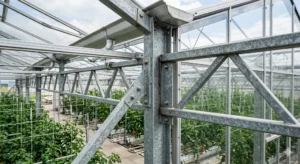 Galvanized steel connection detail in a commercial greenhouse structure