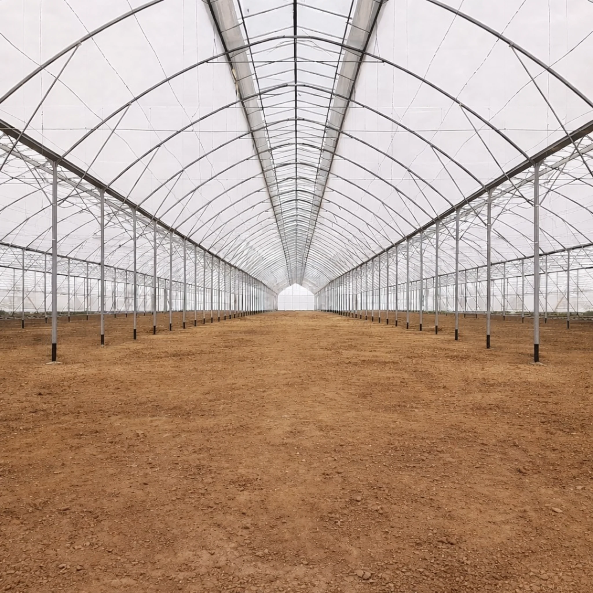 Interior of a gothic greenhouse showing pointed roof structure and key structural components