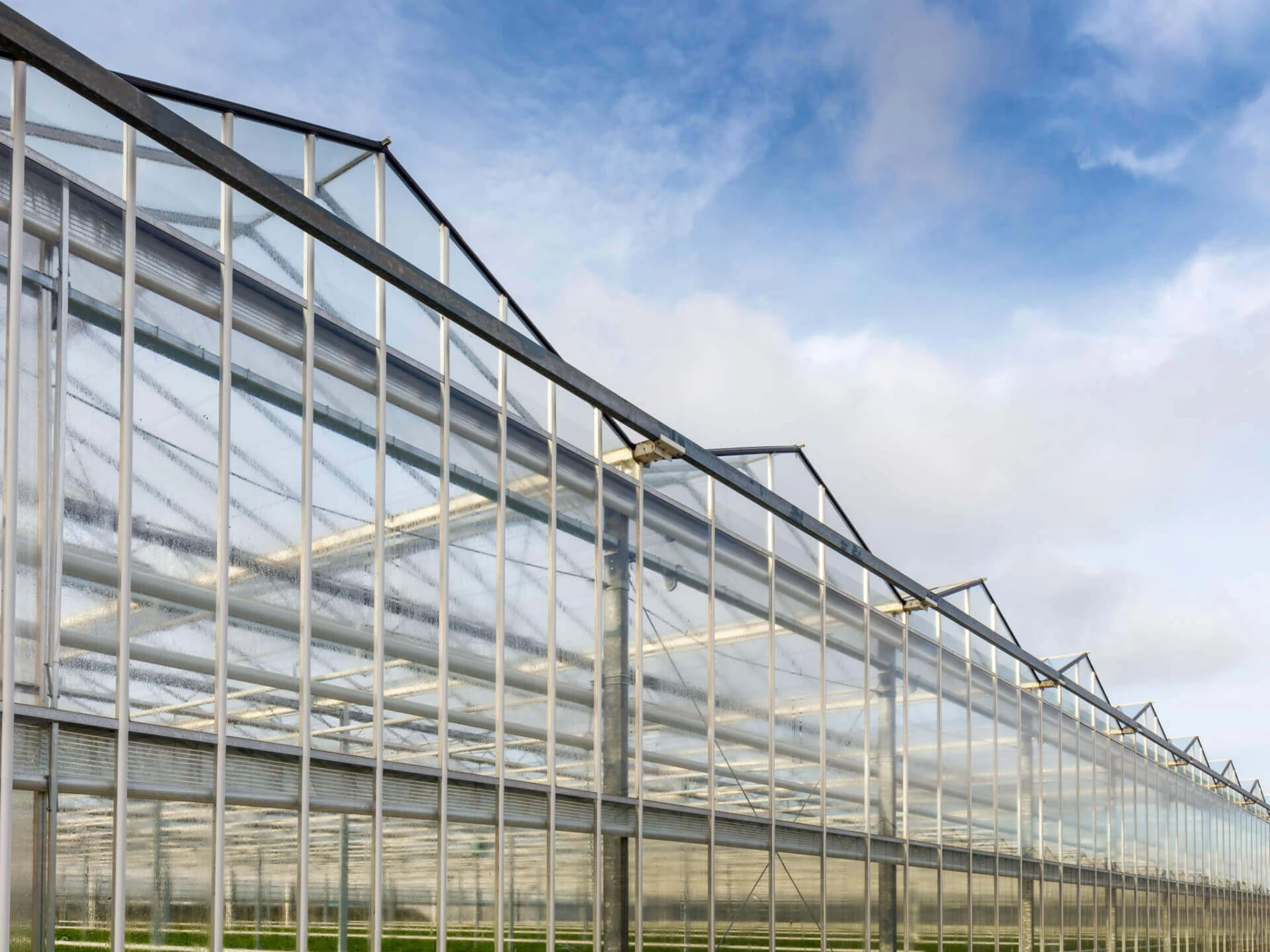polycarbonate Exterior view of a commercial polycarbonate greenhouse with rigid covering panels
