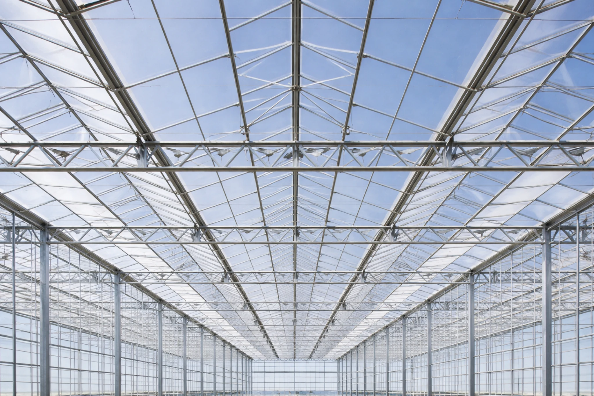 Interior of a polycarbonate greenhouse showing key structural components