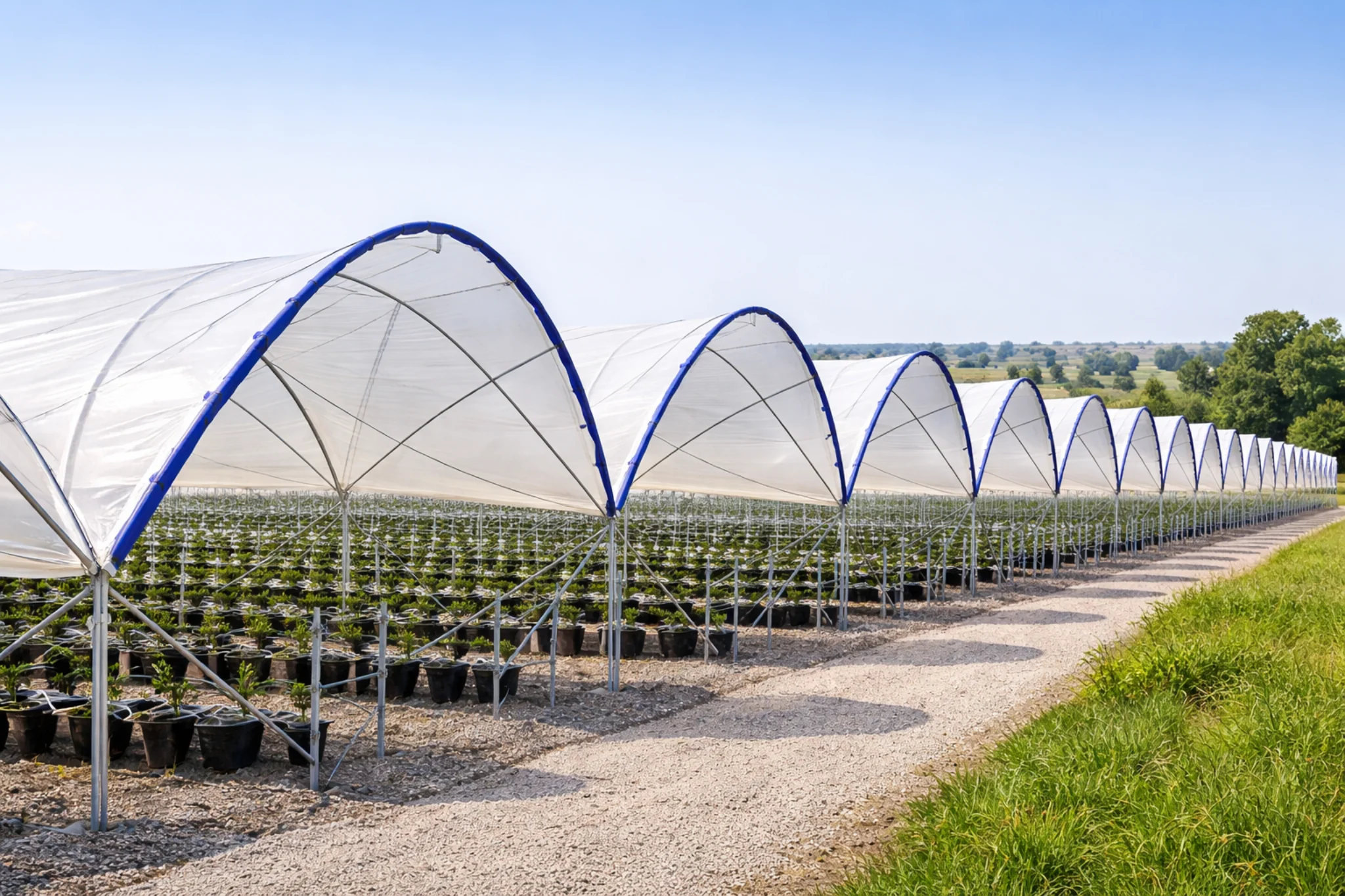 Commercial rain shelter greenhouse structure for field deployment