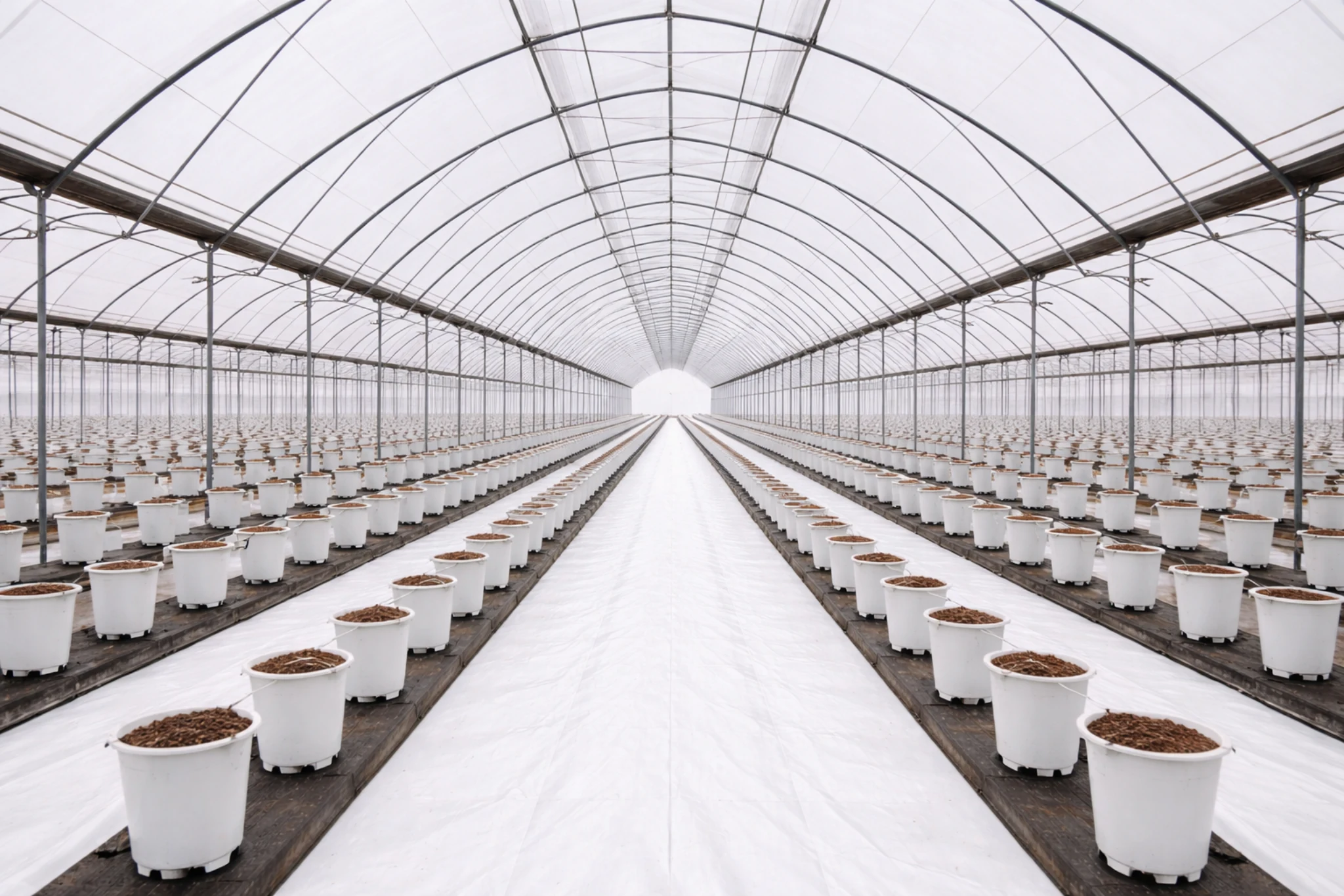 Interior of rain shelter structures showing key structural components