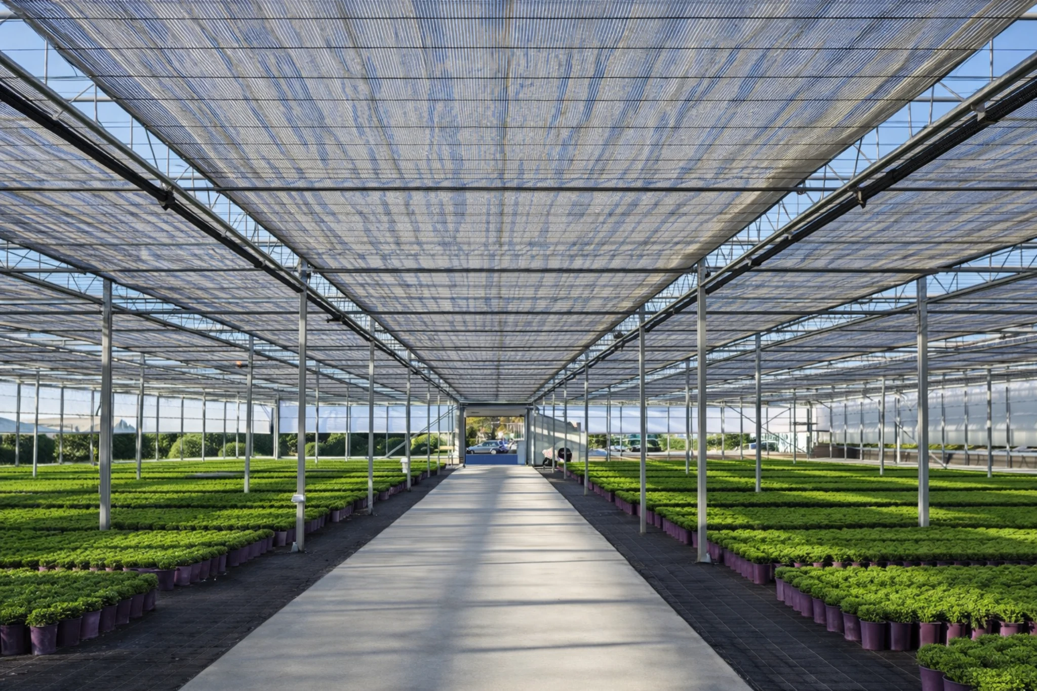Interior view of commercial shade structures with overhead shade screening