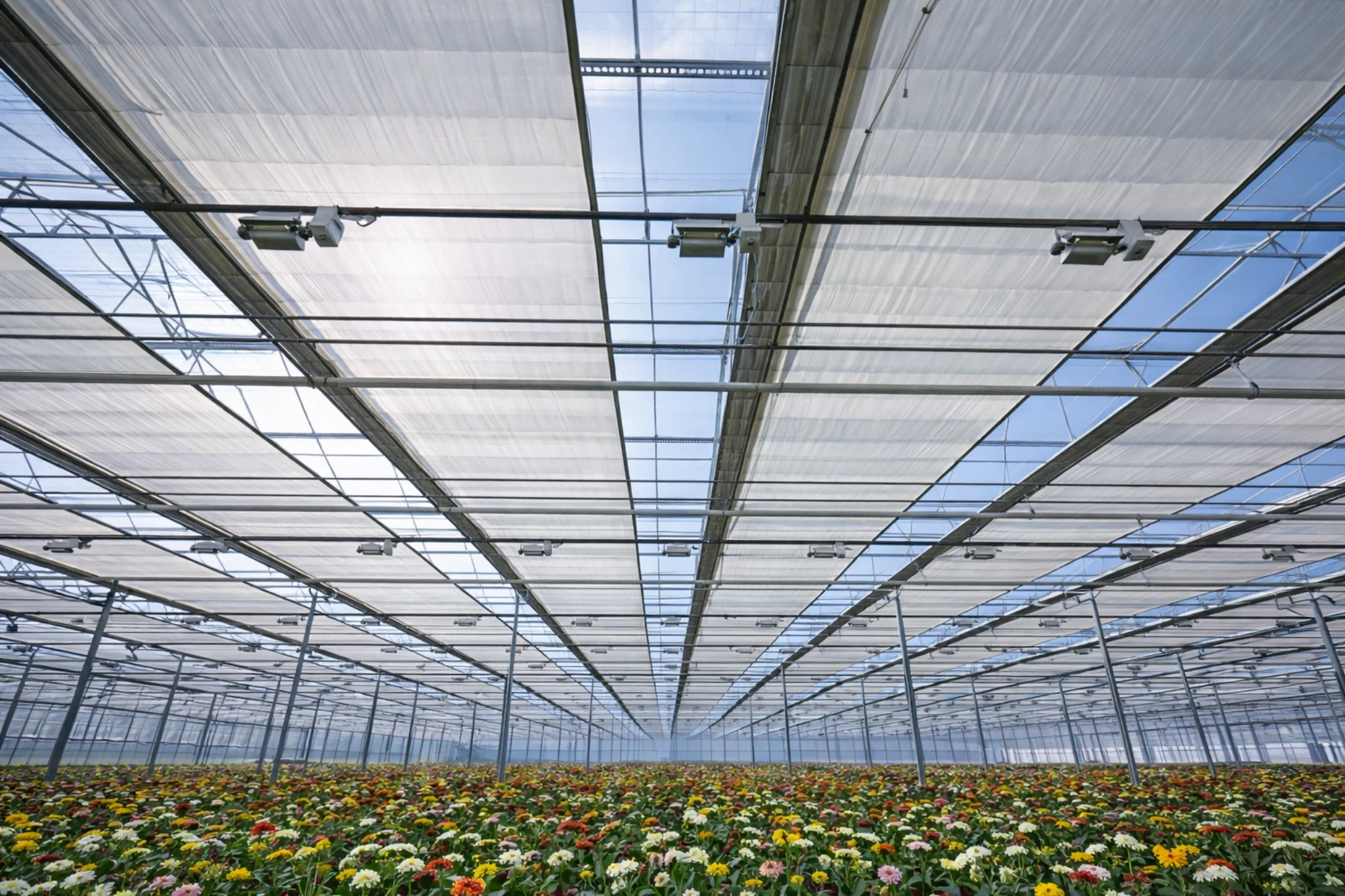 Interior of shade structures showing key structural components and shade net system