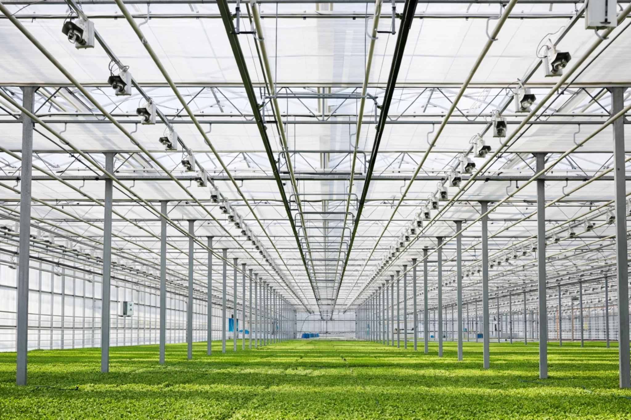 Interior of a Venlo greenhouse showing key structural components
