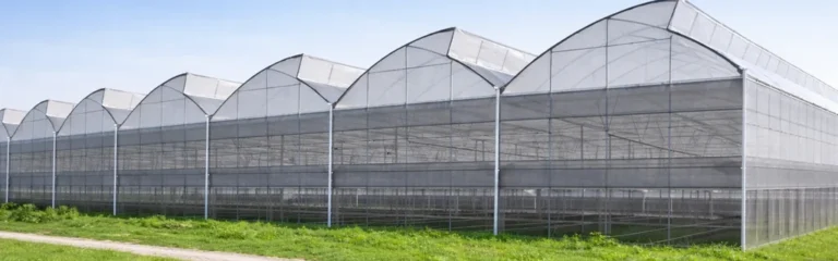 wind load design considerations commercial multi span greenhouse 1024x320 centered