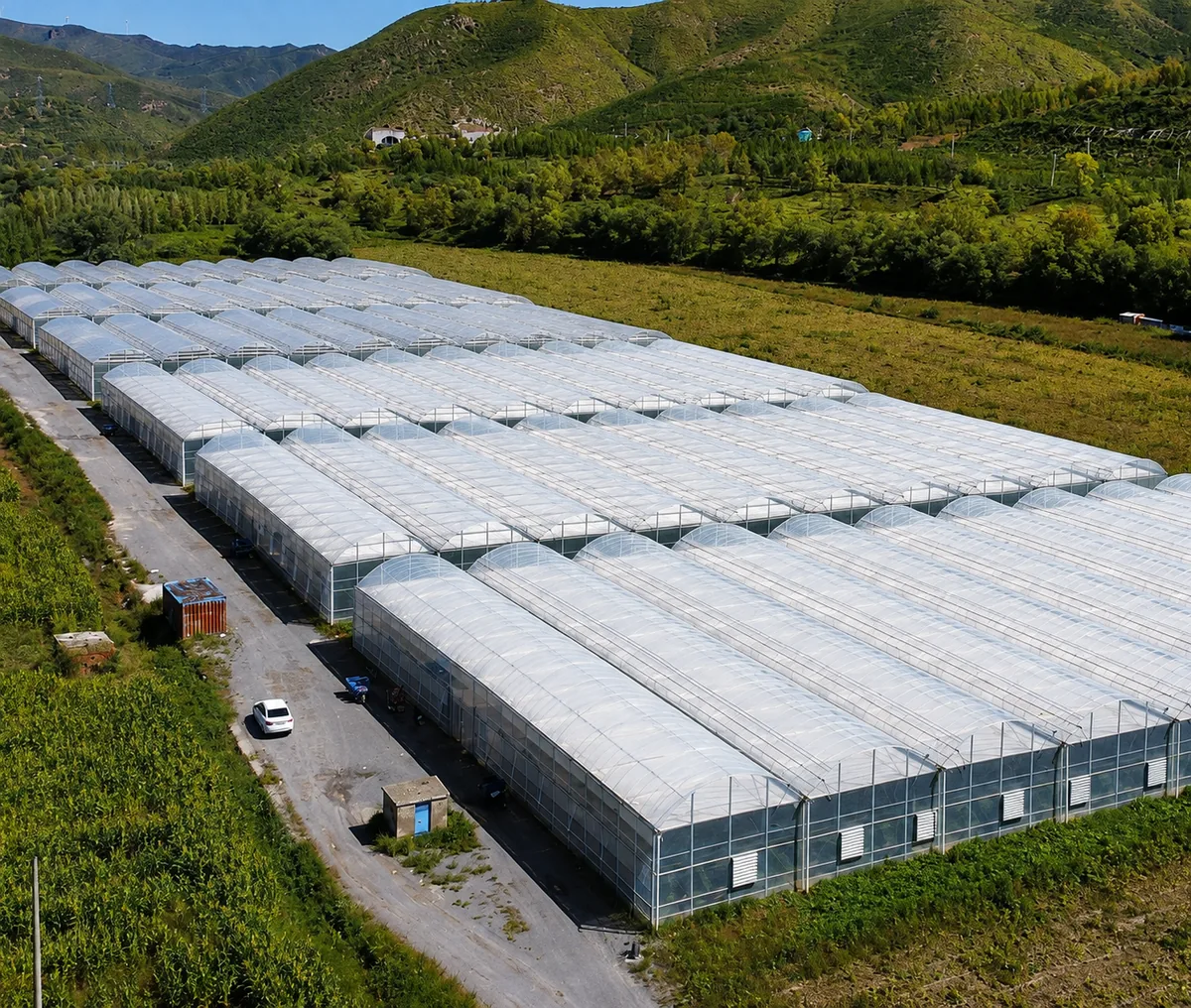 Commercial multi-span greenhouse project with large-scale greenhouse structures