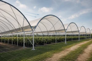 Galvanized steel rain shelter structure for commercial agriculture