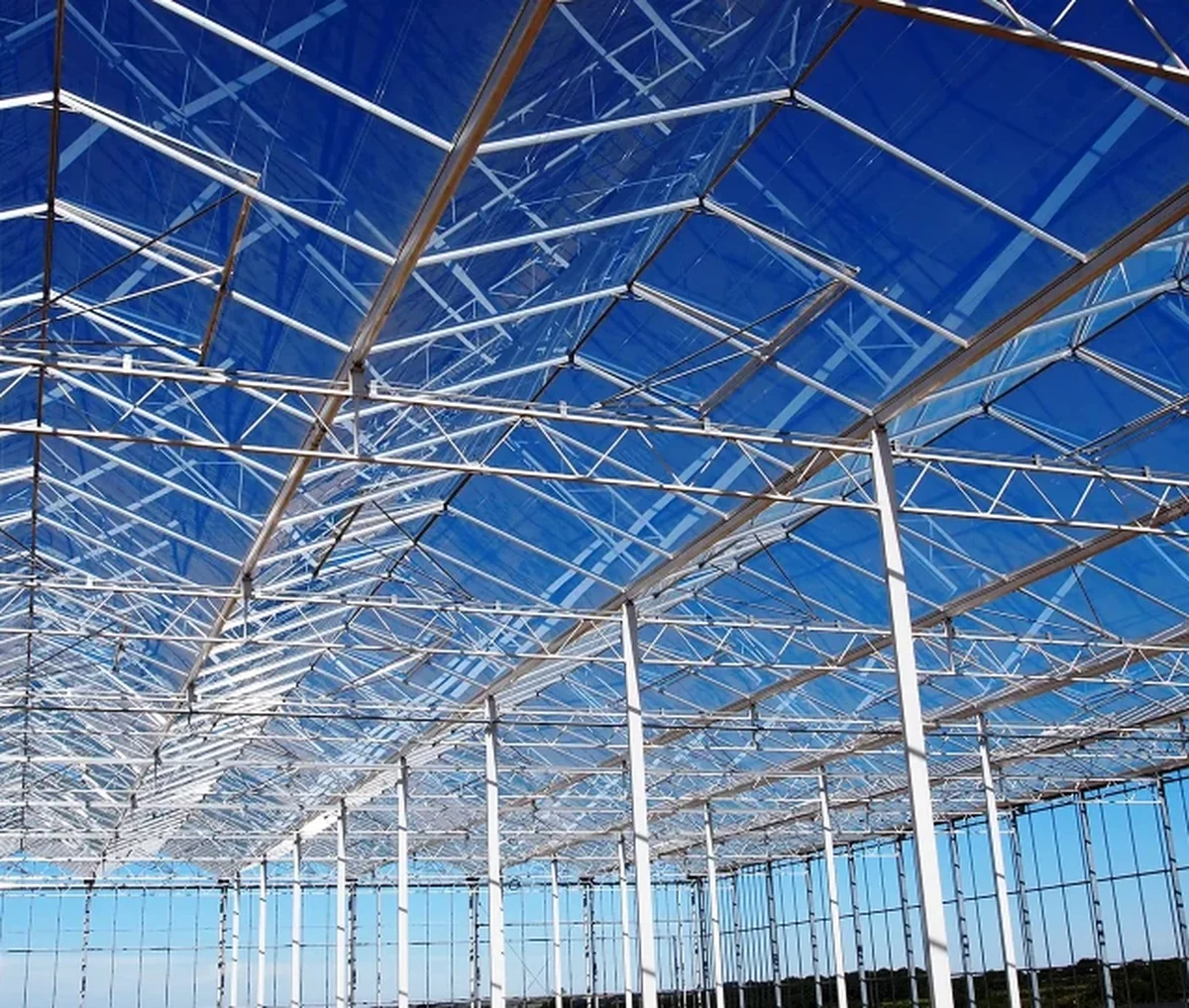 Interior view of Venlo greenhouse structure with galvanized steel frame and modular roof system