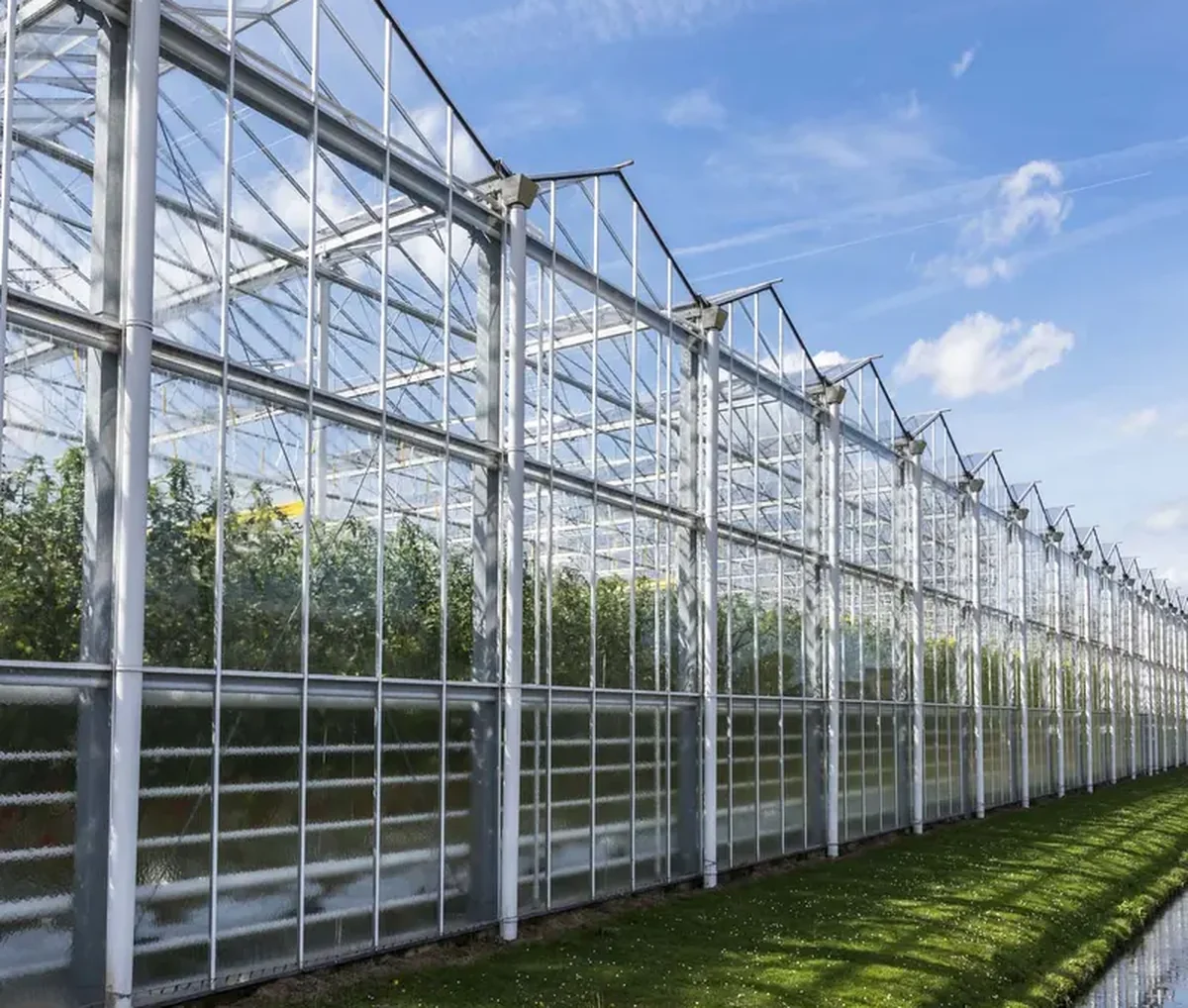Commercial Venlo greenhouse structure with modular glass roof and galvanized steel frame